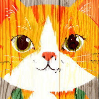 Ein frecher Kater