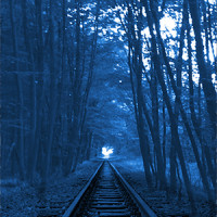Endstation Freiland